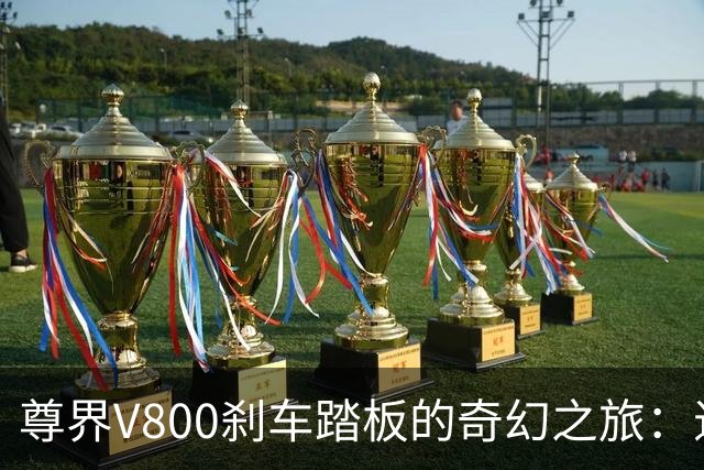 尊界V800刹车踏板的奇幻之旅：退车潮与神秘检测