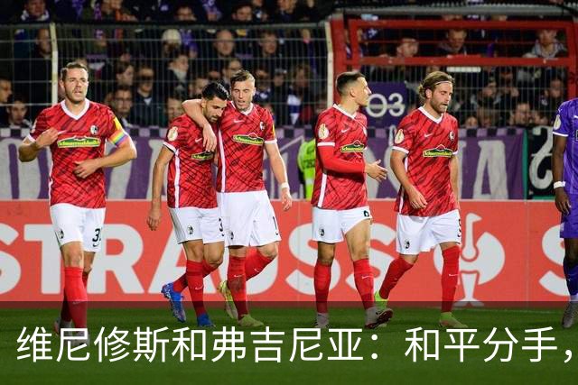 维尼修斯和弗吉尼亚：和平分手，爱情不是战争